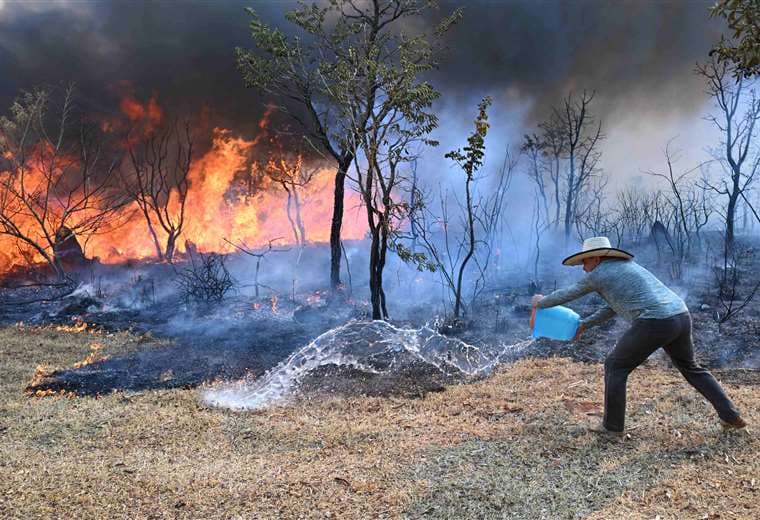 Incendios en Brasil /Foto: AFP