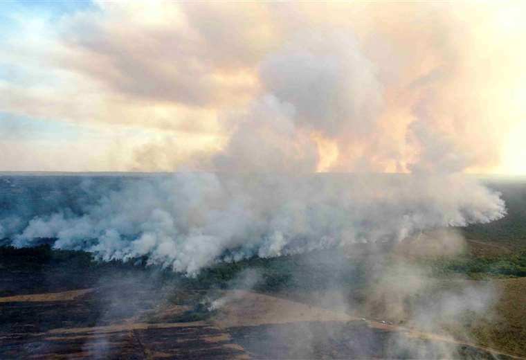 Incendios en Brasil /Foto: AFP