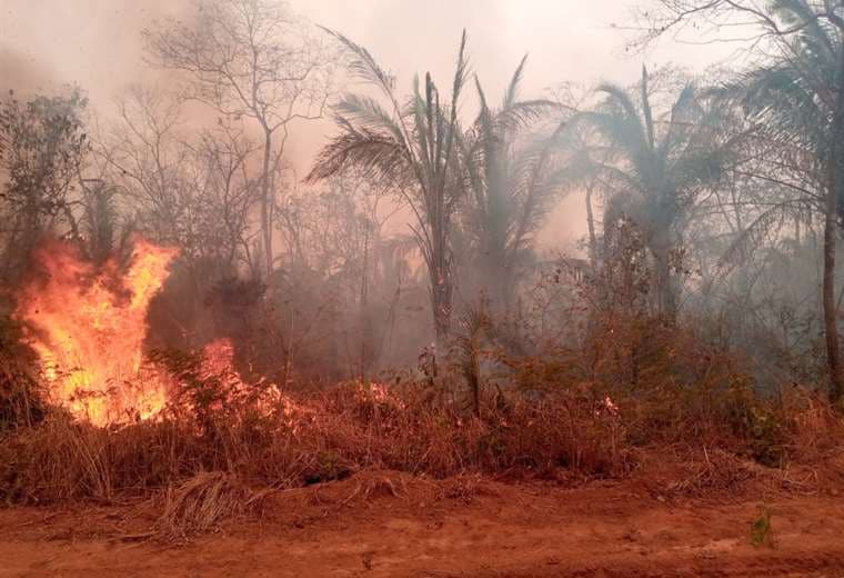 Lluvia de fin de semana no fue suficiente, bomberos continúan luchando contra 11 grandes incendios de 38 activos en Santa Cruz