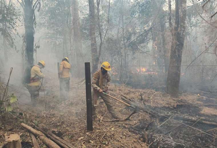 Incendio en Concepción, Santa Cruz. Foto: Gobernación