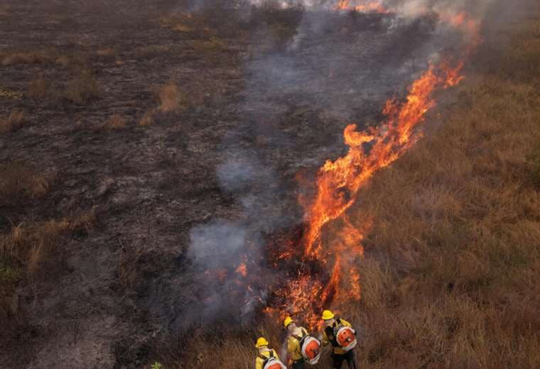 Los productores brasileños temen por los incendios y la nueva ley antideforestación de la UE