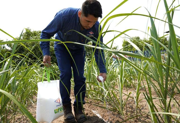 YPFB destaca la producción de fertilizantes 