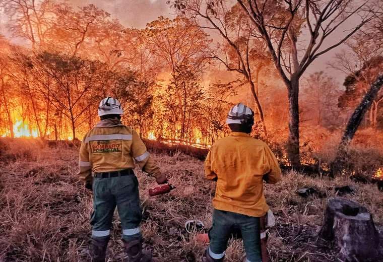 Santa Cruz: el 59% de la superficie quemada es bosque y los incendios rebasan la ayuda desplegada 