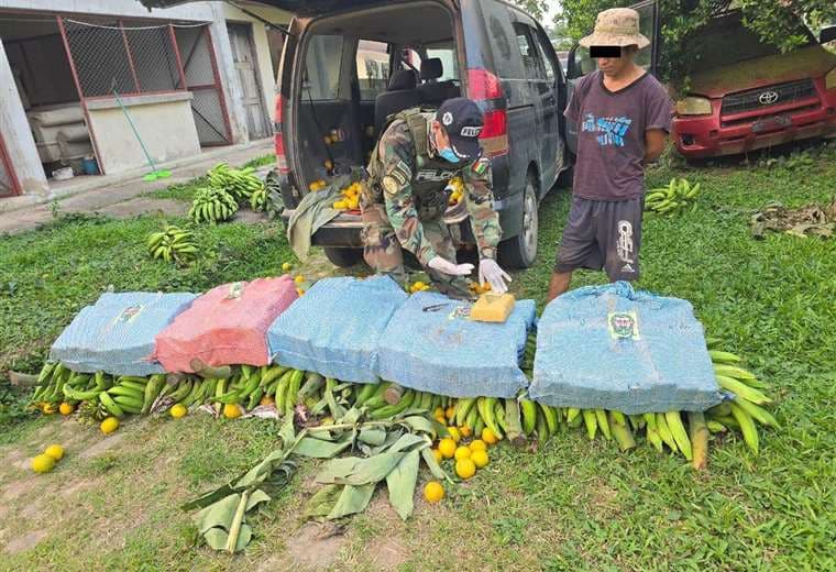 Droga camuflada en frutas