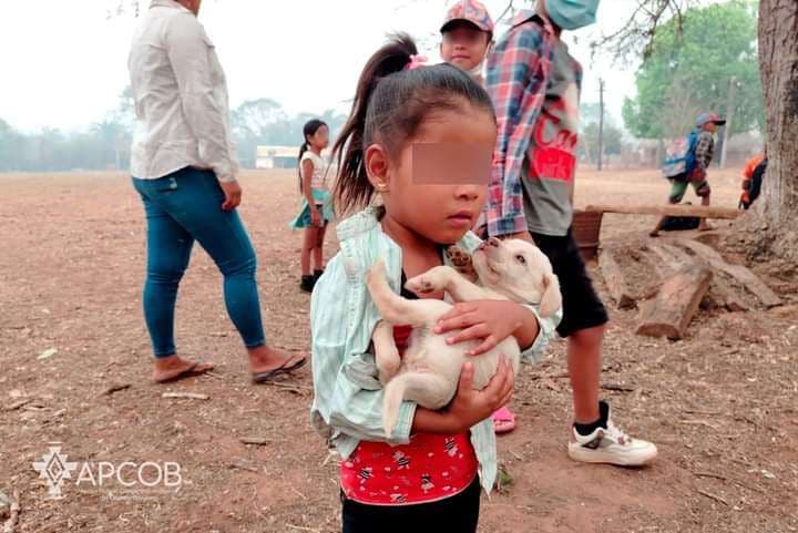 El grito ante el avance del fuego en la Chiquitania: "las llamas y el humo nos hacen llorar, necesitamos ayuda"