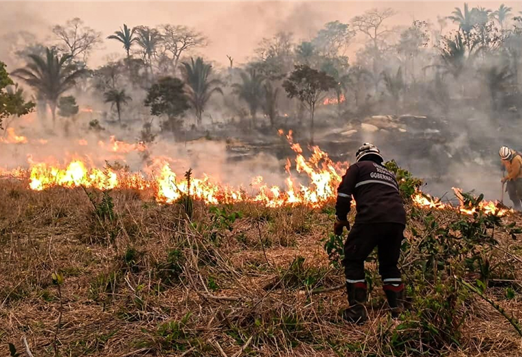 Bomberos combaten las llamas en la Chiquitanía cruceña. Foto. Bomberos voluntarios 