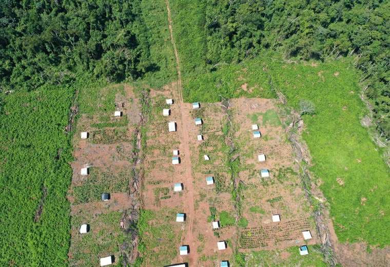 Avasallamiento en Bajo Paraguá