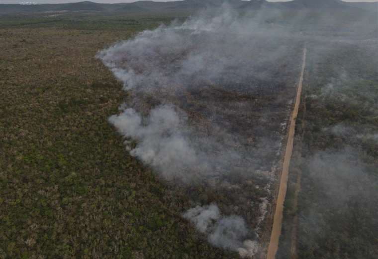 Incendios: los daños suben a 3,8 millones de hectáreas quemadas en Bolivia