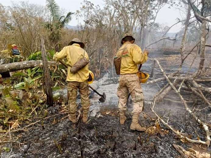 Concejal Negrete impulsa campaña de recolección de donativos para ayudar a los bomberos