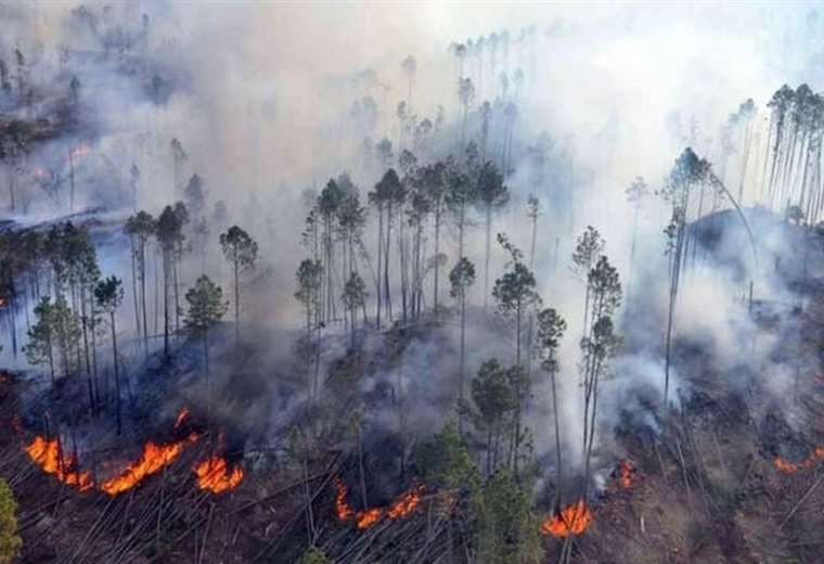 Incendios provocan las más altas emisiones de CO2 en 20 años