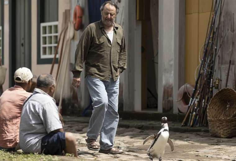 Mi amigo el pingüino, una enternecedora historia real