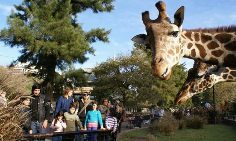 Buenos Aires anuncia el cierre de su zoológico