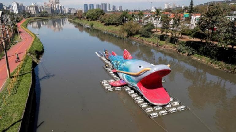 Un pez pintado navega contra la contaminación en ríos de San Pablo