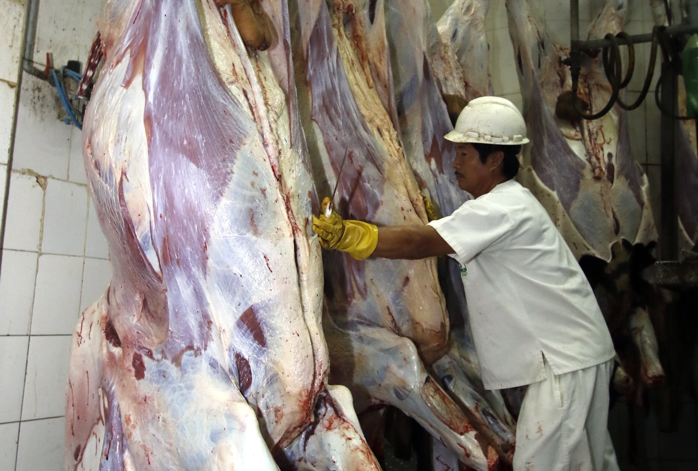 China verifica el estatus sanitario de carne bovina de Bolivia 