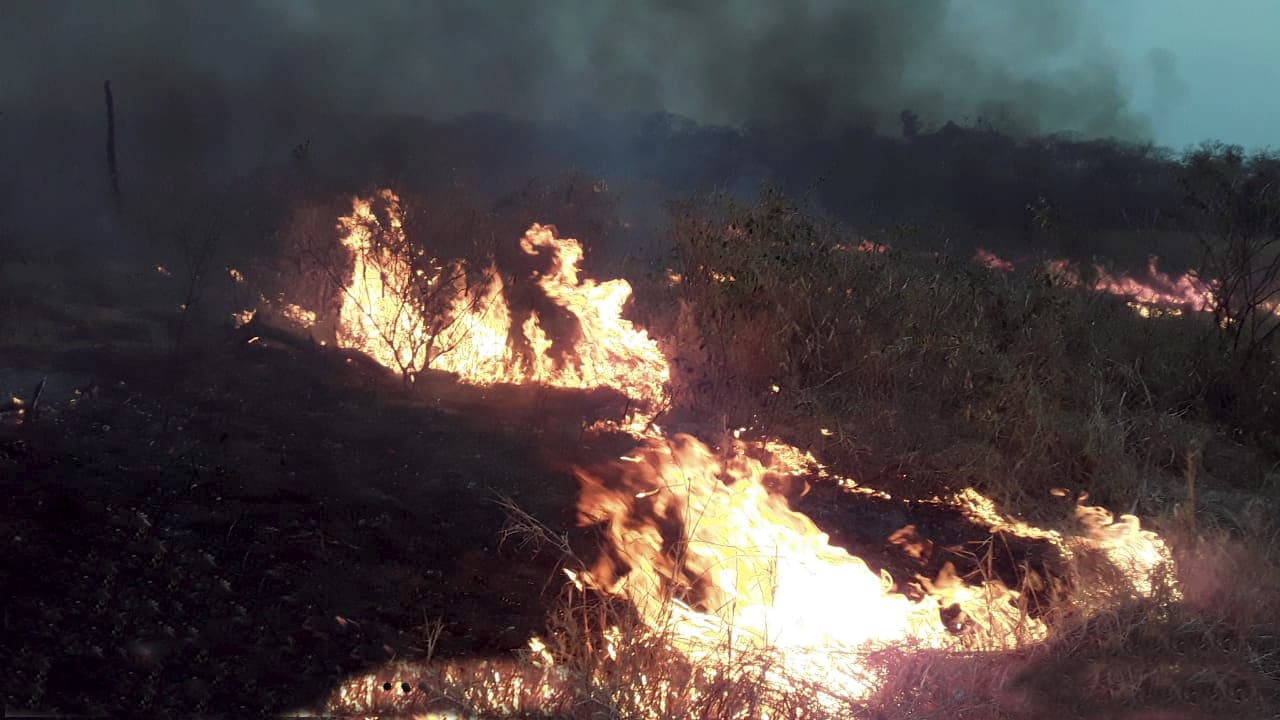 Concepción, el municipio más castigado por los incendios forestales 
