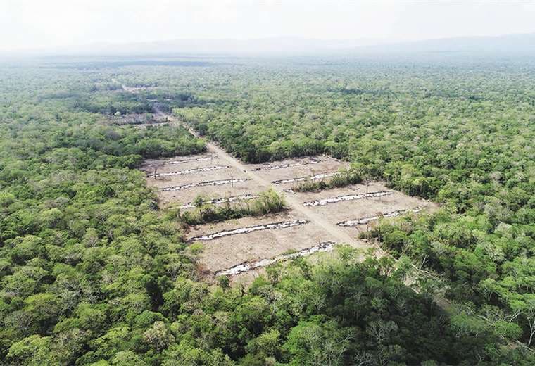 La imagen muestra cómo dejaron los colonos la reserva forestal El Paquió en Roboré