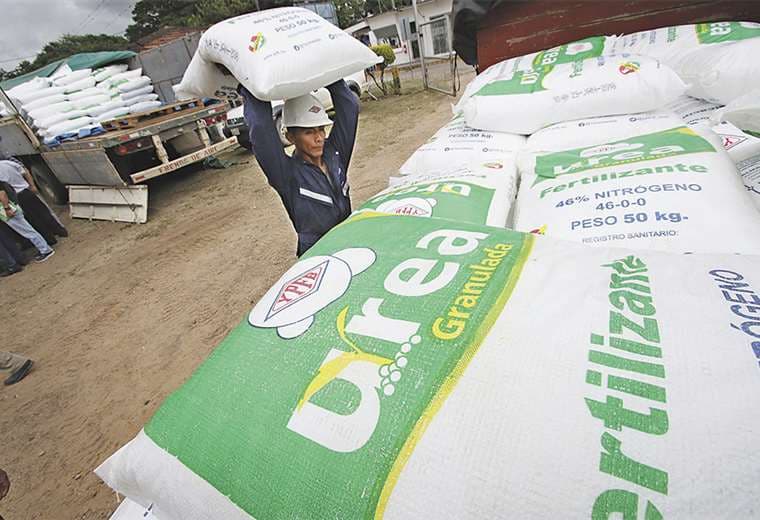 Positivo. La urea nacional está reemplazando al fertilizante importado. Foto: HERNÁN VIRGO