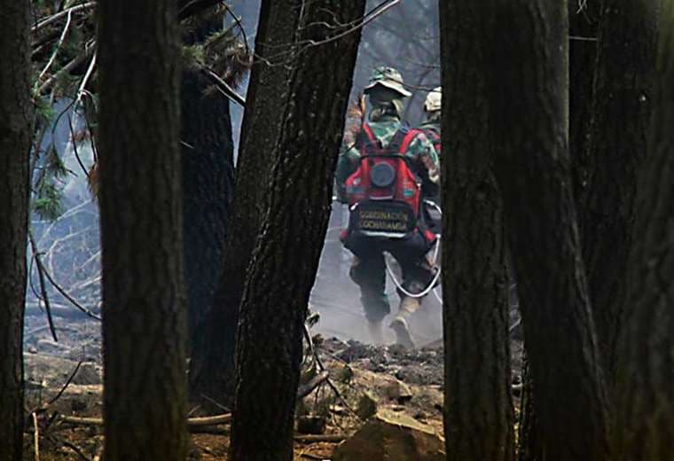El ejercito y efectivos del SAR ayudaron a sofocar el fuego cerca de Villa Tunari. Foto: Gobernación de Cochabamba