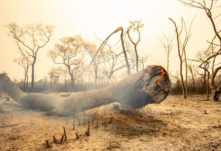 Lluvias y trabajo humano reducen a 18 incendios forestales en la Chiquitania
