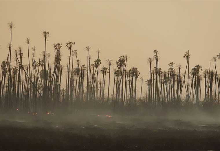 El Parque Nacional Otuquis es una de las áreas protegidas que mayores daños ha sufrido en su ecosistema debido a los incendios forestales. FOTO: JORGE UECHI Y CARLOS QUINQUIVÍ