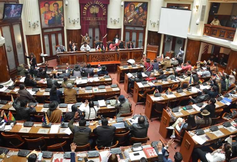 La Asamblea Legislativa Plurinacional aprobó este jueves el reglamento para la convocatoria y elección de nuevos vocales del Tribunal Supremo Electoral (TSE). Foto: Twitter