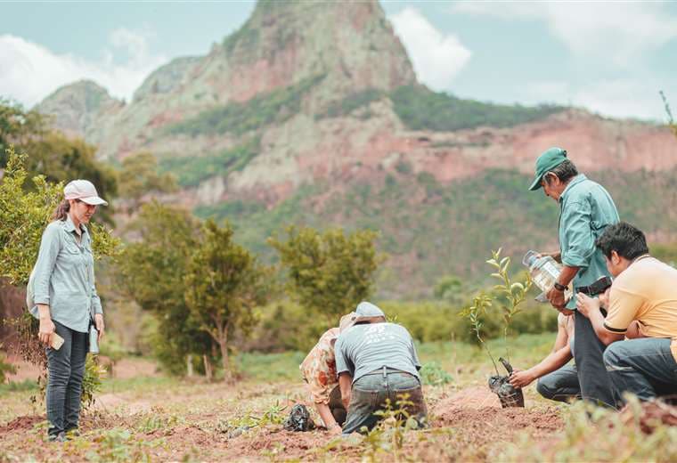 Voluntarios plantan arbolitos de diferentes especies en el municipio de Roboré