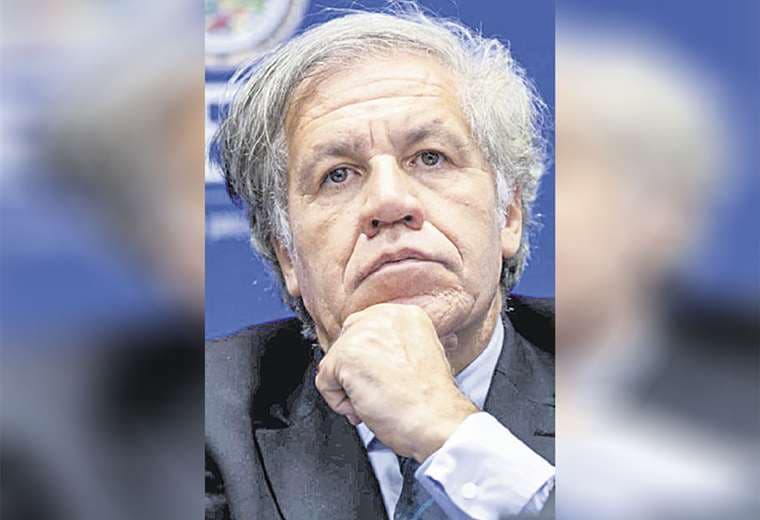 PARA SABEREl uruguayo Luis Almagro busca su reelección en el organismo