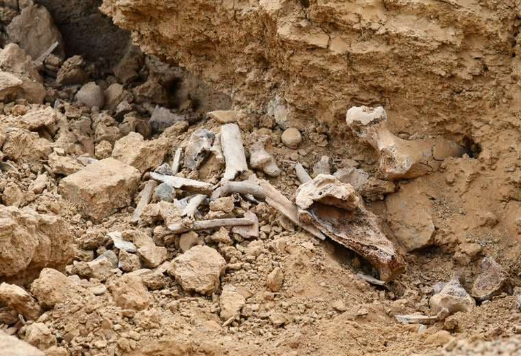 Hallan restos óseos en Huaca Huacani/Foto: APG