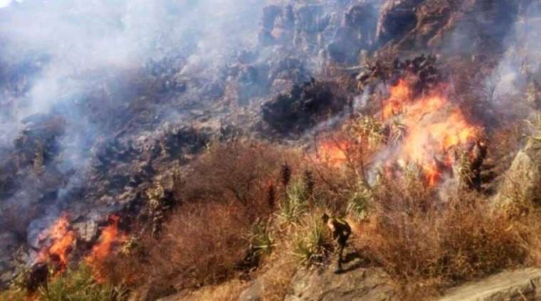 Los incendios descontrolados obligaron a Chuquisaca a declararse en desastre