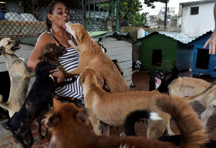 Noris Pérez juega con perros en un refugio de animales en La Habana. Foto AFP