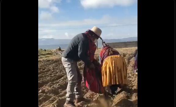 Choquehuanca trabajando la tierra I captura.