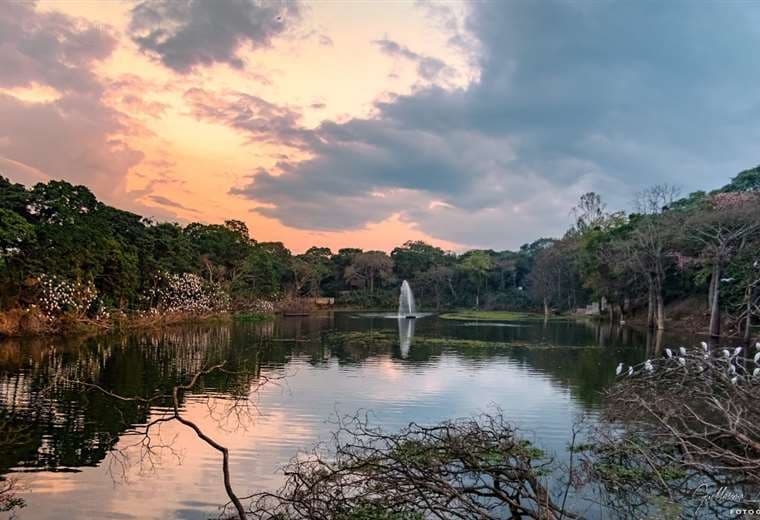 Laguna del Jardín Botánico al atardecer. Foto: Guillermo Córdova