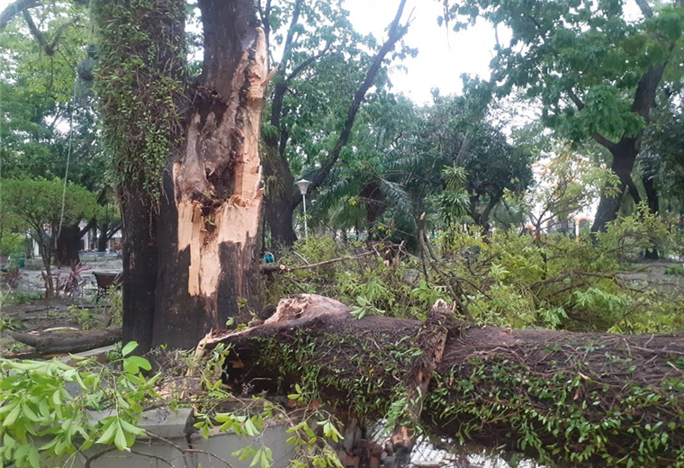 Los vientos huracanados causaron desastres en Trinidad. Foto. Internet  