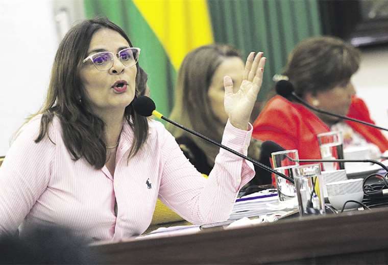 Rosario Schamisseddine, concejala y candidata