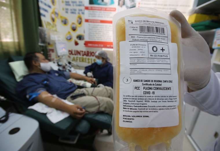 Las donaciones de sangre continúan en el país. Foto: Jorge Ibáñez 