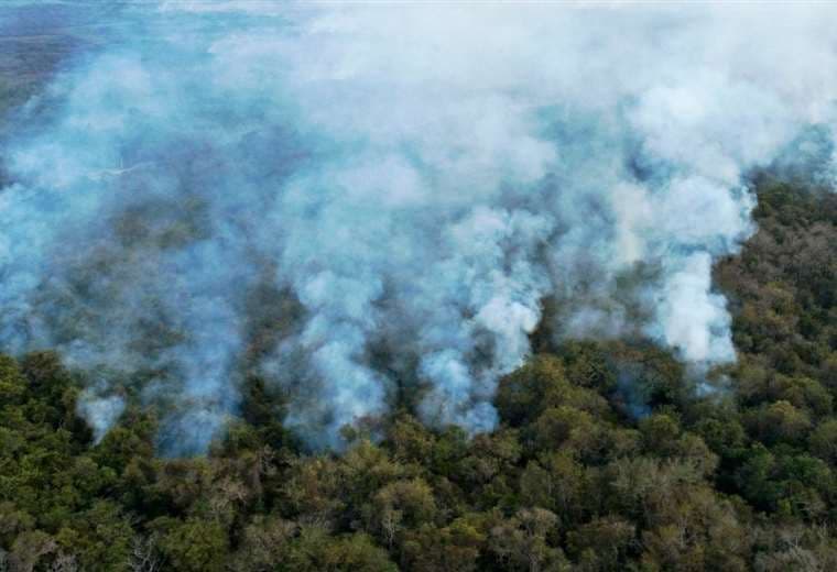Deforestación e incendios aumentaron este año en la Amazonía