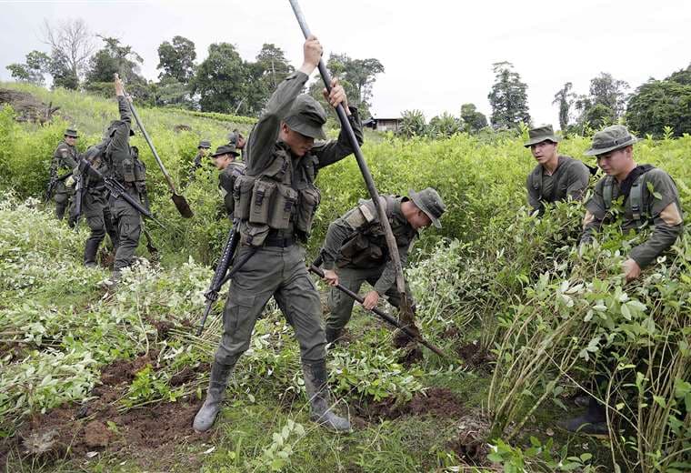 Colombia dice haber batido récord de erradicación de narcocultivos por segundo año consecu