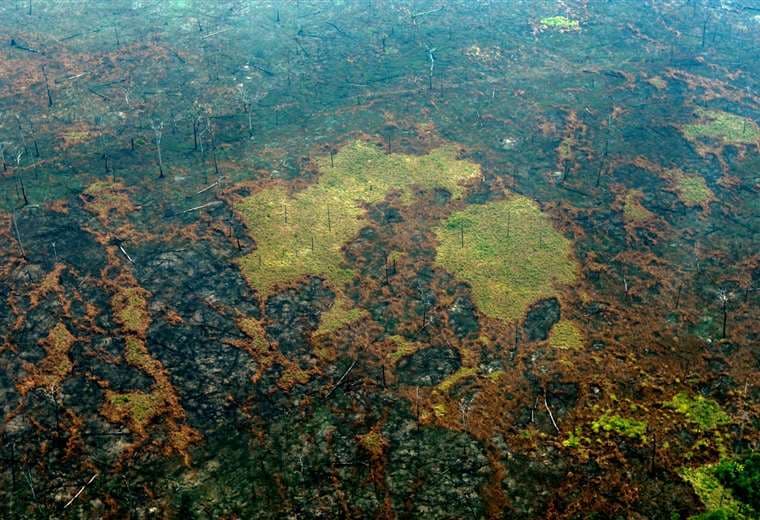 Amazonía deforestada/Foto: AFP