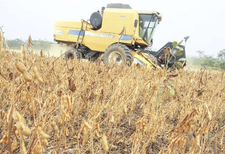 Tras alerta de soyeros, Gobierno garantiza diésel para la cosecha


