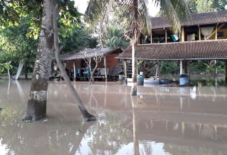 El desborde del río Ichilo provocó que varias viviendas se inunden. 