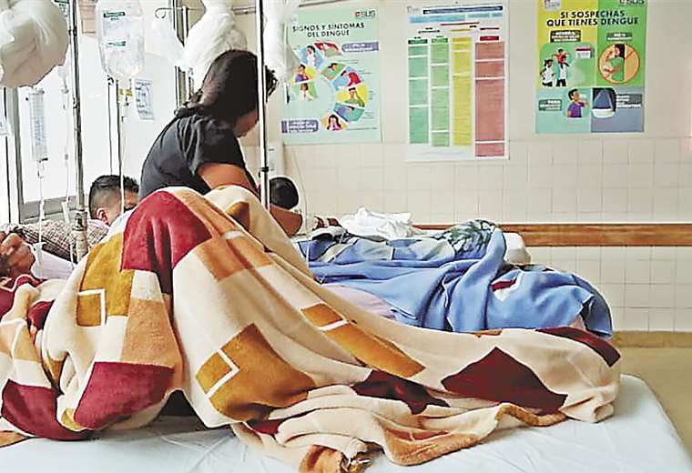 Los enfermos de dengue continúan aumentando en la capital cruceña y los hospitales no dan abasto. Foto: Leyla Mendieta
