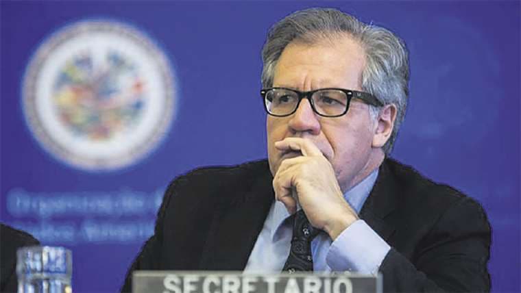 AImagro, OEA, certificó el fraude
