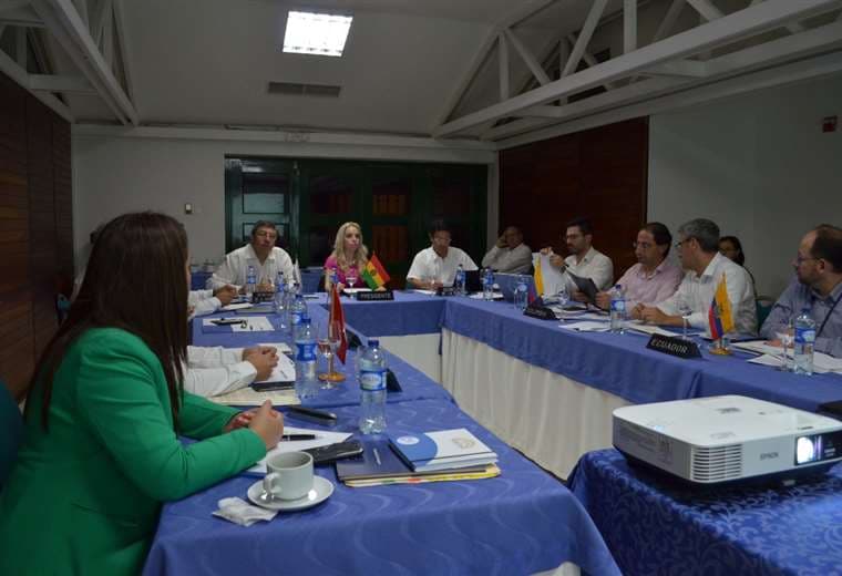 Los representantes de los países de la CAN se reunieron en Colombia. Foto: CAN