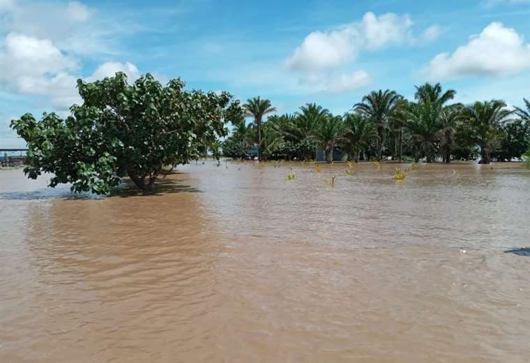 Las áreas fueron afectadas por el rebalse de ríos
