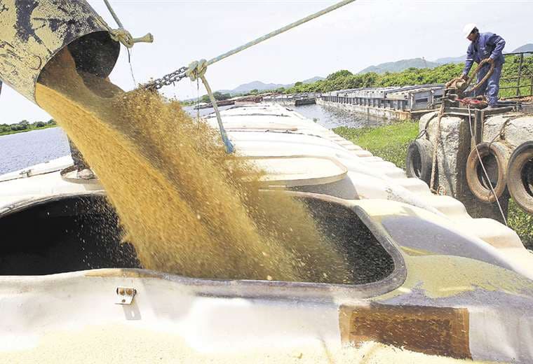 El Gobierno liberó las exportaciones favoreciendo el comercio exterior de productos como la soya. Foto: HERNAN VIRGO