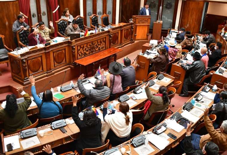 La sesión en la Cámara Baja del Legislativo I Foto: Diputados.