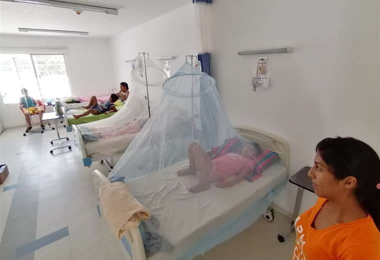 Contra el dengue: mosquitero y eliminación de criaderos/Jorge Ibáñez