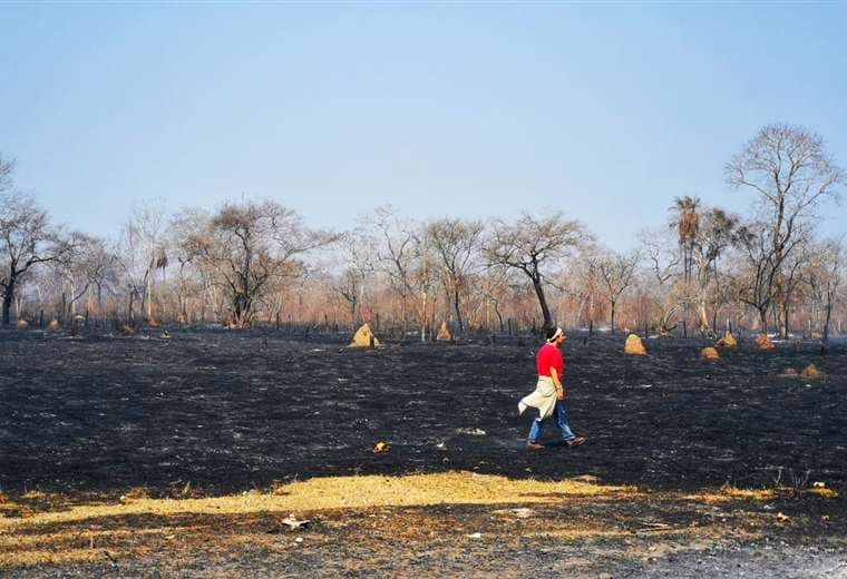 Tierra calcinada por el fuego en el ANMI San Matías (Foto: Pablo Ortiz)