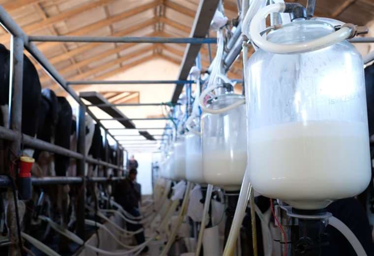 La producción de leche en Bolivia es de 1,85 millones de litros diarios, según datos del sector
