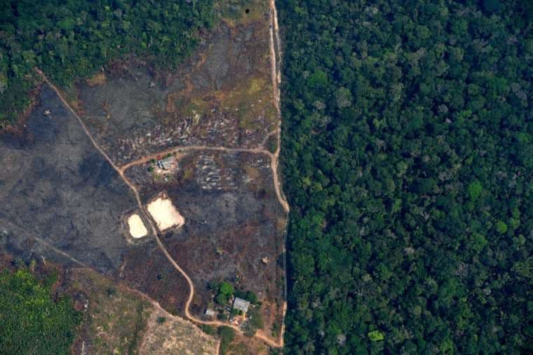 Supermercados británicos amenazan con boicot a Brasil por la deforestación